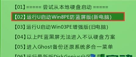 通过u盘启动安装双系统教程（简明教程带你轻松实现电脑双系统安装）