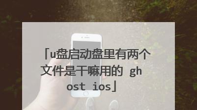 使用U盘安装iOS系统教程（一步步教你如何通过U盘安装最新版iOS系统）