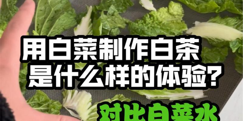 Win10大白菜绕过开机密码教程（轻松解锁Win10开机密码，畅玩电脑乐趣！）