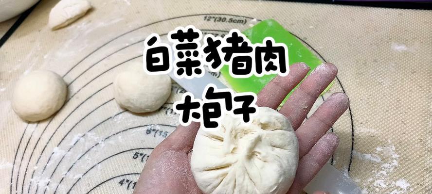 大白菜最新版使用教程，快速掌握技巧（以大白菜最新版为例，详细介绍操作步骤与注意事项）