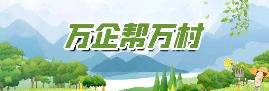 河源中兴（中兴公司的兴起与发展，推动河源城市经济的崛起）