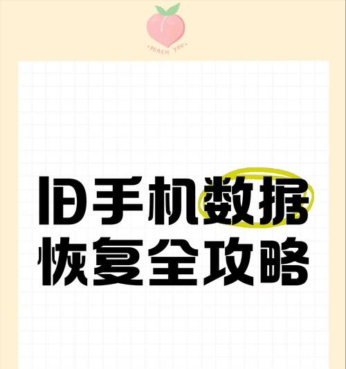 手机格式化后如何恢复数据（快速找回误删的手机数据，让你不再后悔）