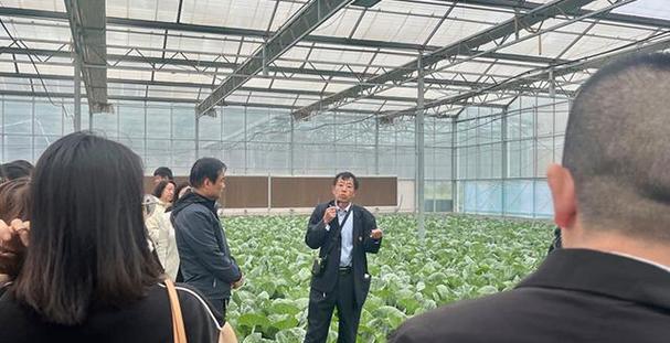 探索51聚人气的魅力（发现最热门活动、最时尚话题的聚集地）