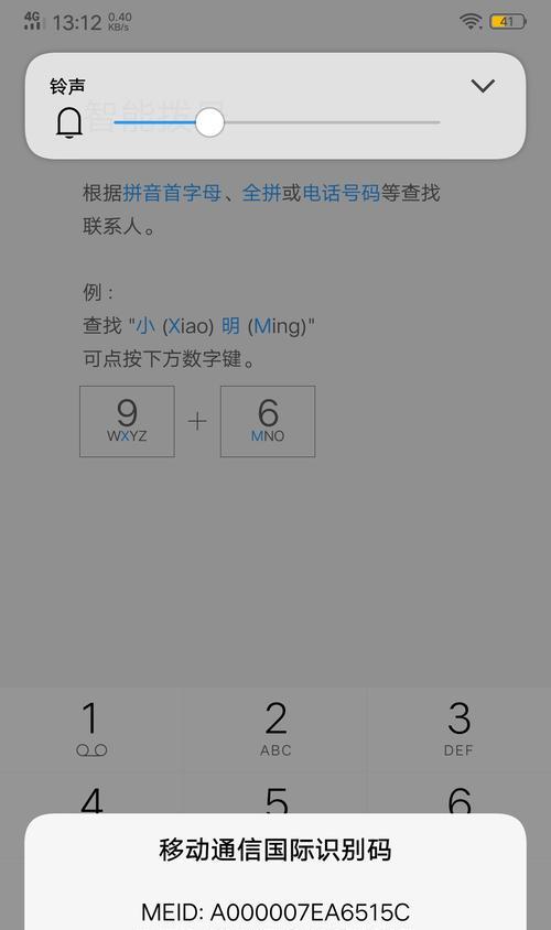 SN码查询不到的原因及解决方法（解读SN码查询的意义和常见问题，教你如何解决查询不到的情况）