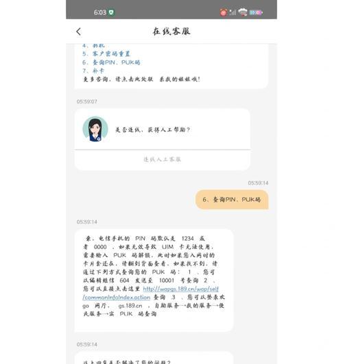 小米电脑频繁显示“PIN码错误”的解决方法（解析小米电脑PIN码错误问题及解决方案）
