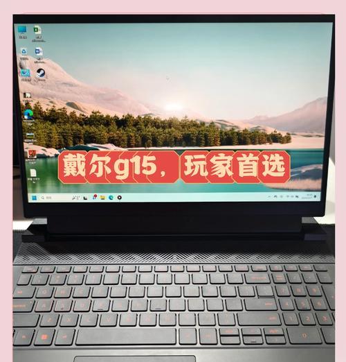 戴尔游匣驱动安装教程（详细步骤分享，让你玩转戴尔游匣）