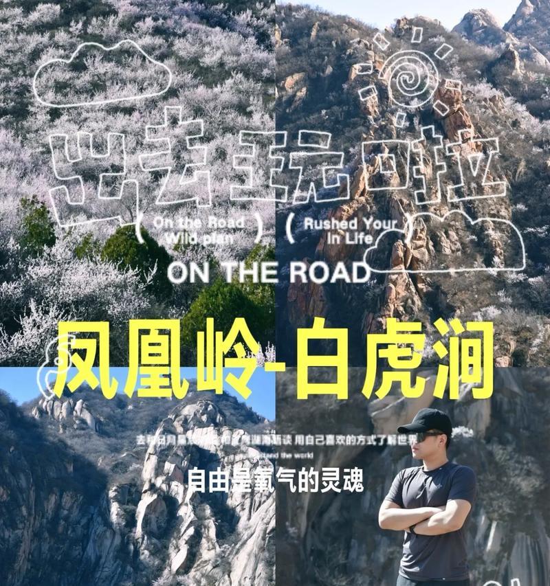 解决电脑上凤凰系统错误的方法（针对凤凰系统错误的有效解决方案）